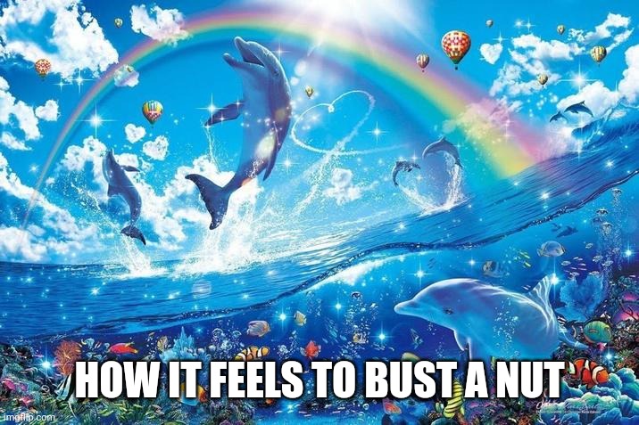 Happy dolphin rainbow | HOW IT FEELS TO BUST A NUT | image tagged in happy dolphin rainbow | made w/ Imgflip meme maker