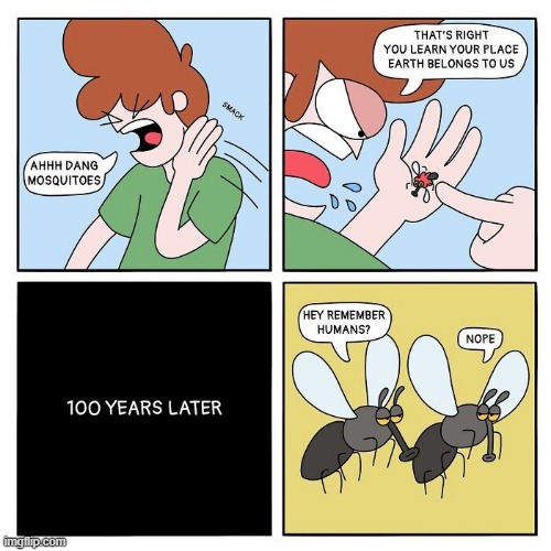 Mosquitoes | image tagged in comics | made w/ Imgflip meme maker