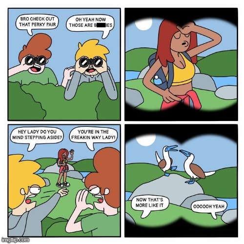 Boobies | image tagged in comics | made w/ Imgflip meme maker