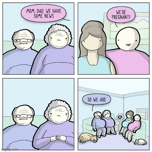 We're Pregnant | image tagged in comics | made w/ Imgflip meme maker