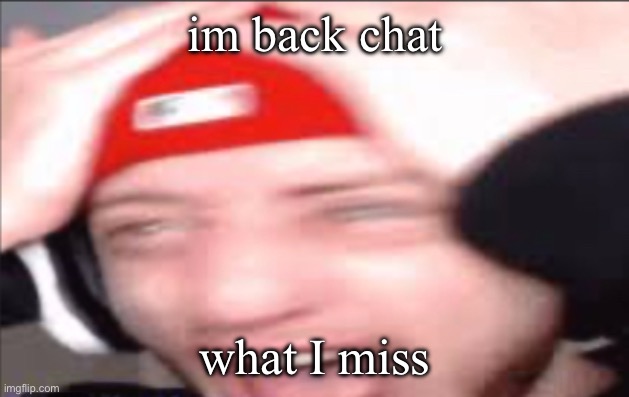 cat delete :O | im back chat; what I miss | image tagged in wubbzy suprised | made w/ Imgflip meme maker