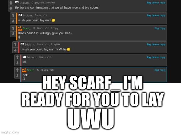 hey Scarf_ I'm ready | HEY SCARF_ I'M READY FOR YOU TO LAY; UWU | image tagged in blank white template | made w/ Imgflip meme maker
