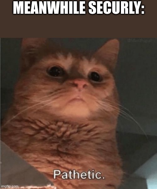 Pathetic Cat | MEANWHILE SECURLY: | image tagged in pathetic cat | made w/ Imgflip meme maker