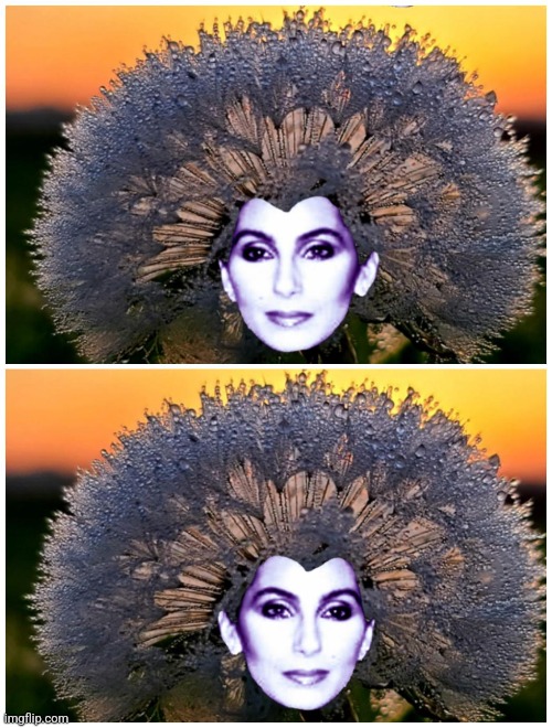 Cher & Dandelion = Natural Fashion | image tagged in cher,dandelion,headdress | made w/ Imgflip meme maker