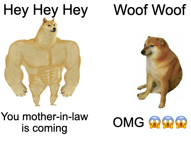 Buff Doge vs. Cheems | Hey Hey Hey; Woof Woof; You mother-in-law is coming; OMG 😱😱😱 | image tagged in memes,buff doge vs cheems | made w/ Imgflip meme maker