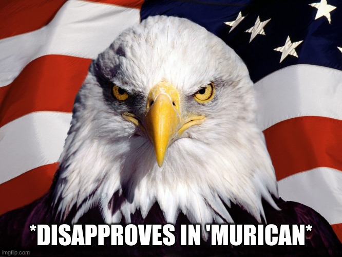 Freedom Eagle | *DISAPPROVES IN 'MURICAN* | image tagged in freedom eagle | made w/ Imgflip meme maker