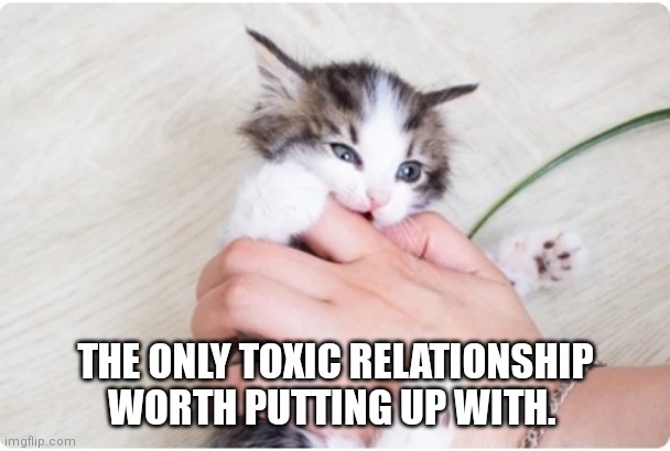 Toxic relationship | THE ONLY TOXIC RELATIONSHIP WORTH PUTTING UP WITH. | image tagged in toxic | made w/ Imgflip meme maker