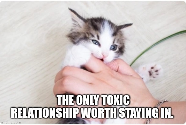 Toxic relationships | THE ONLY TOXIC RELATIONSHIP WORTH STAYING IN. | image tagged in toxic | made w/ Imgflip meme maker