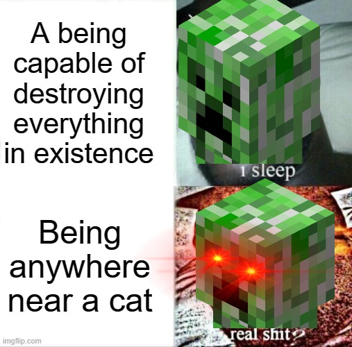 Creepers be like | A being capable of destroying everything in existence; Being anywhere near a cat | image tagged in memes,sleeping shaq | made w/ Imgflip meme maker