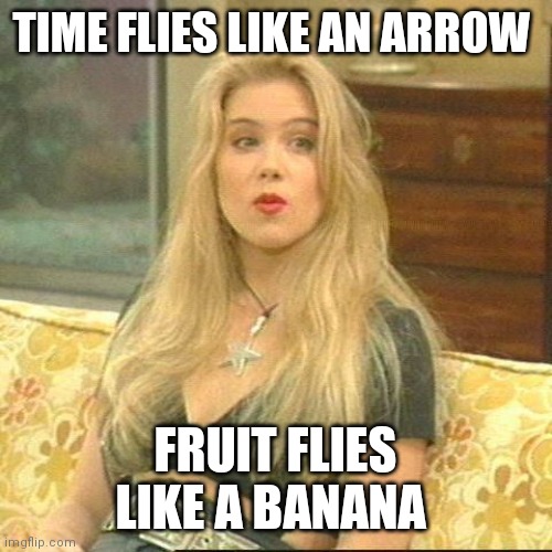 Time Flies | TIME FLIES LIKE AN ARROW; FRUIT FLIES LIKE A BANANA | image tagged in funny memes | made w/ Imgflip meme maker