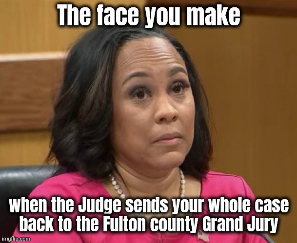 "Poorly Presented and unclear" | The face you make; when the Judge sends your whole case
back to the Fulton county Grand Jury | image tagged in fani willis eyebrows,epic fail,ooo you almost had it,try again and again,witch hunt,task failed successfully | made w/ Imgflip meme maker