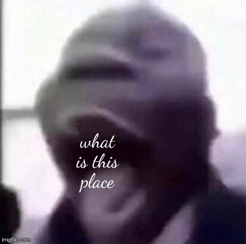 e | what is this place | made w/ Imgflip meme maker