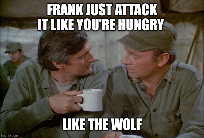 Hungry like the wolf | FRANK JUST ATTACK IT LIKE YOU'RE HUNGRY; LIKE THE WOLF | image tagged in funny memes | made w/ Imgflip meme maker