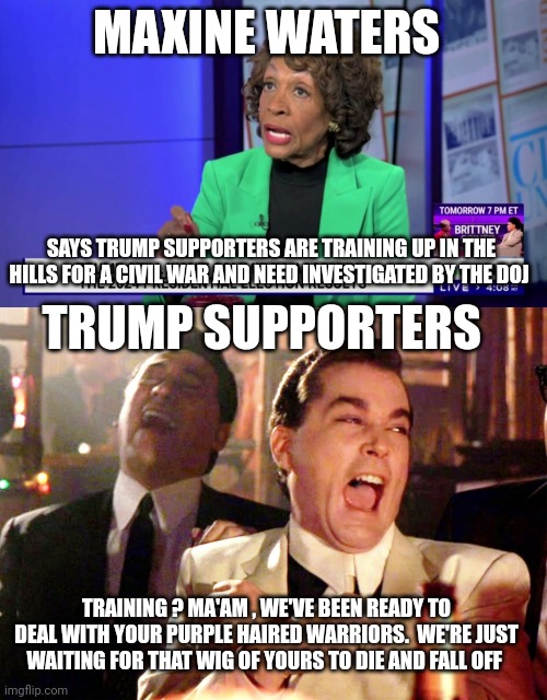 maxine waters meme | MAXINE WATERS; SAYS TRUMP SUPPORTERS ARE TRAINING UP IN THE HILLS FOR A CIVIL WAR AND NEED INVESTIGATED BY THE DOJ; TRUMP SUPPORTERS; TRAINING ? MA'AM , WE'VE BEEN READY TO DEAL WITH YOUR PURPLE HAIRED WARRIORS.  WE'RE JUST WAITING FOR THAT WIG OF YOURS TO DIE AND FALL OFF | image tagged in trump supporters | made w/ Imgflip meme maker
