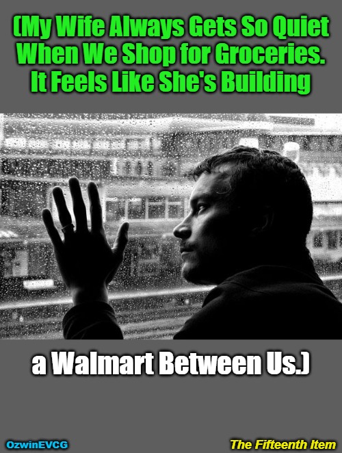 The Fifteenth Item | (My Wife Always Gets So Quiet 

When We Shop for Groceries. 

It Feels Like She's Building; a Walmart Between Us.); The Fifteenth Item; OzwinEVCG | image tagged in pensive,memes,men and women,grocery store,shopping,marriage | made w/ Imgflip meme maker