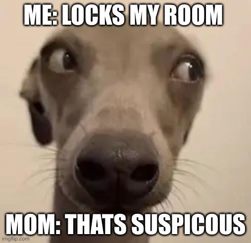 Thats Suspicous | ME: LOCKS MY ROOM; MOM: THATS SUSPICOUS | made w/ Imgflip meme maker