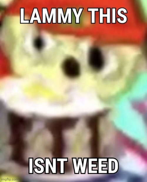 lammy this is not weed | made w/ Imgflip meme maker