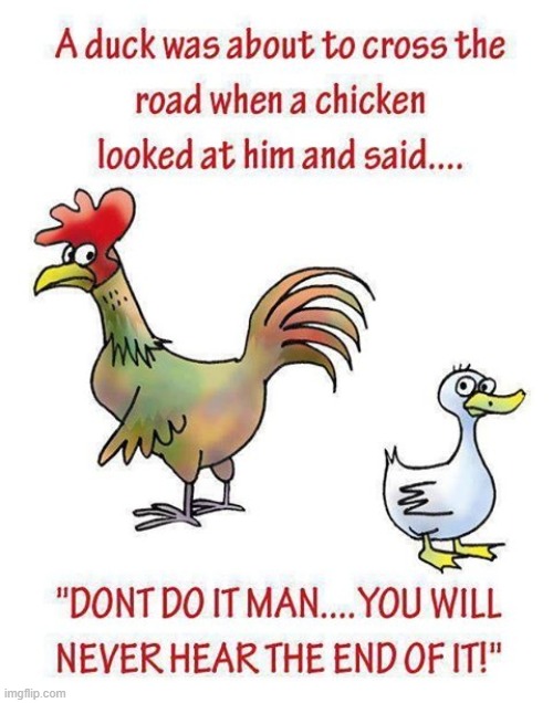 Why did the duck cross the road? Doesn't have the same ring... | image tagged in vince vance,why did the chicken cross the road,chickens,ducks,cartoons,comics | made w/ Imgflip meme maker