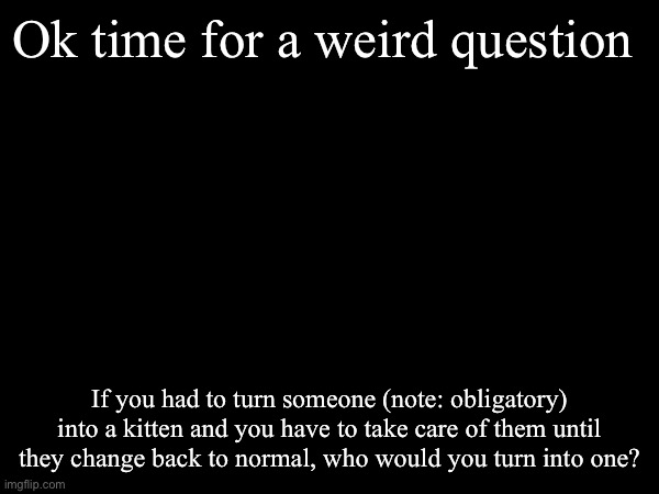 Ok don’t mind me, it just popped in my head | Ok time for a weird question; If you had to turn someone (note: obligatory) into a kitten and you have to take care of them until they change back to normal, who would you turn into one? | image tagged in weird questions,questions,kittens | made w/ Imgflip meme maker