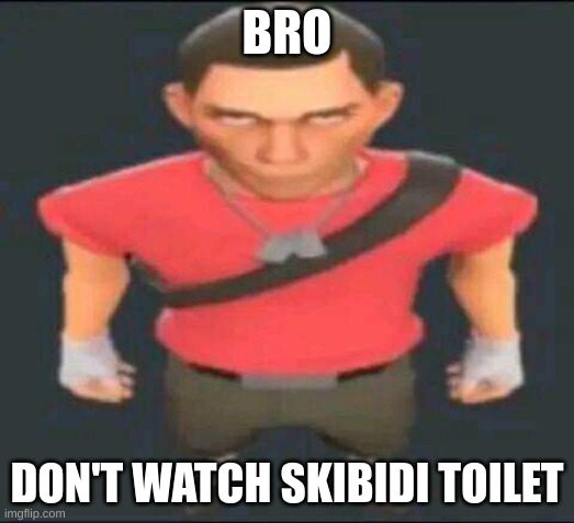 bro | BRO; DON'T WATCH SKIBIDI TOILET | image tagged in bro | made w/ Imgflip meme maker