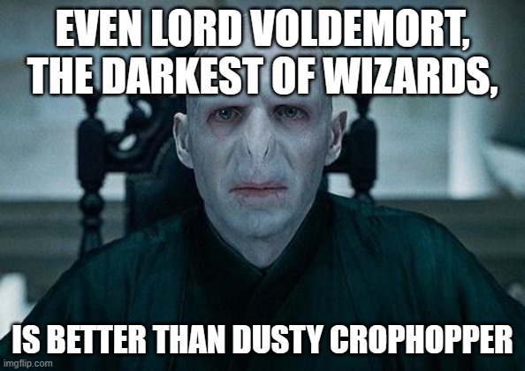 Lord Voldemort | EVEN LORD VOLDEMORT, THE DARKEST OF WIZARDS, IS BETTER THAN DUSTY CROPHOPPER | image tagged in lord voldemort | made w/ Imgflip meme maker