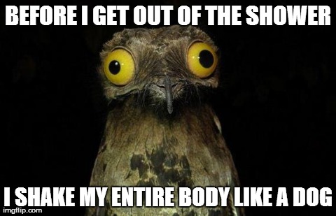Weird Stuff I Do Potoo Meme | BEFORE I GET OUT OF THE SHOWER I SHAKE MY ENTIRE BODY LIKE A DOG | image tagged in memes,weird stuff i do potoo | made w/ Imgflip meme maker