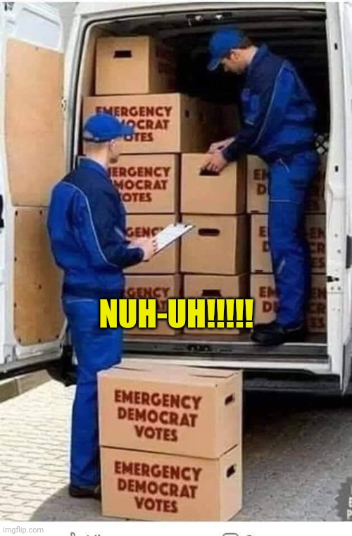 Emergency Democrat Votes | NUH-UH!!!!! | image tagged in emergency democrat votes | made w/ Imgflip meme maker