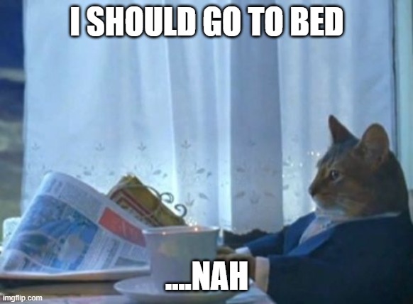 :3 | I SHOULD GO TO BED; ....NAH | image tagged in memes,i should buy a boat cat | made w/ Imgflip meme maker
