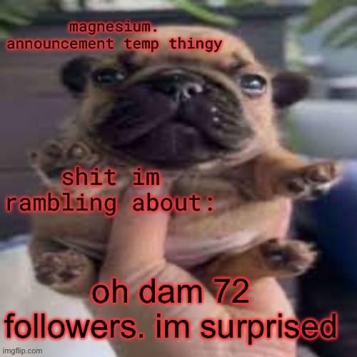 pug temp | oh dam 72 followers. im surprised | image tagged in pug temp | made w/ Imgflip meme maker