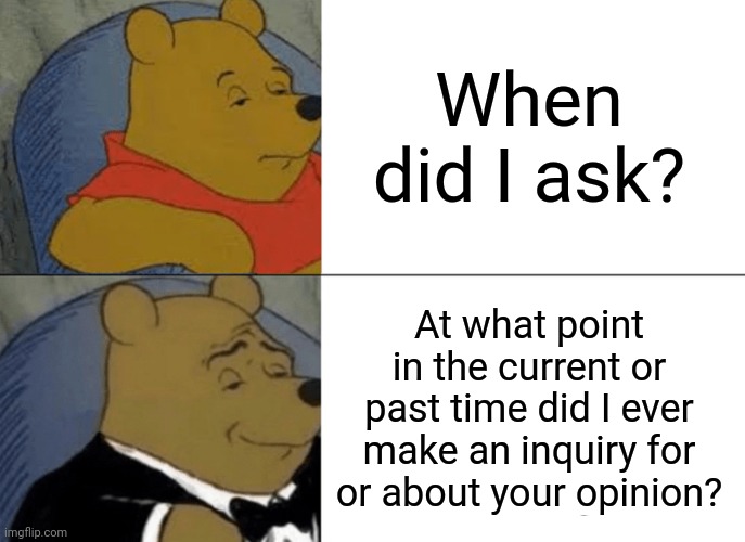 Fansi ? | When did I ask? At what point in the current or past time did I ever make an inquiry for or about your opinion? | image tagged in memes,tuxedo winnie the pooh,did i ask | made w/ Imgflip meme maker