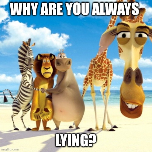 To therizzardofoz | WHY ARE YOU ALWAYS; LYING? | image tagged in melman why are you | made w/ Imgflip meme maker