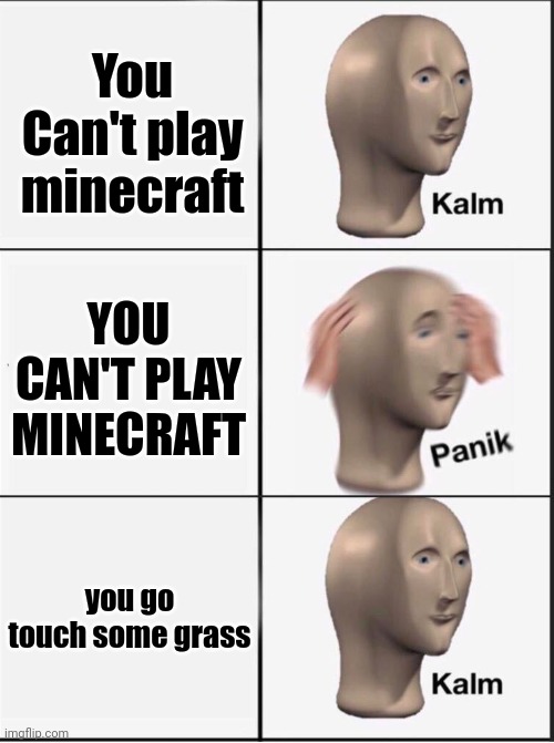 Go touch grass | You Can't play minecraft; YOU CAN'T PLAY MINECRAFT; you go touch some grass | image tagged in reverse kalm panik,minecraft | made w/ Imgflip meme maker