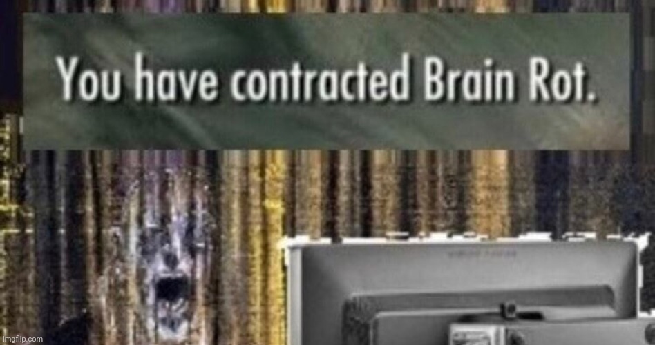 You have contracted brain rot | image tagged in you have contracted brain rot | made w/ Imgflip meme maker