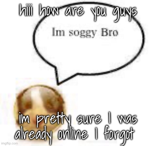 Dumbass | hiii how are you guys; im pretty sure I was already online I forgot | image tagged in im soggy bro ball | made w/ Imgflip meme maker