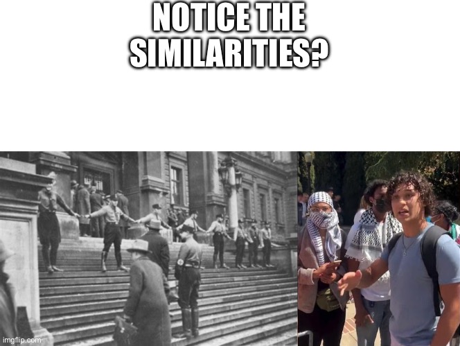 Palestine Supporting Nazis | NOTICE THE SIMILARITIES? | image tagged in blank white template,palestine,nazi | made w/ Imgflip meme maker