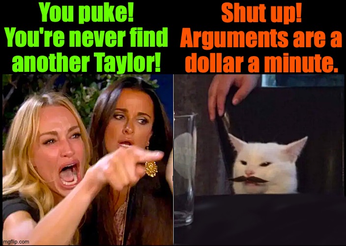 Pricey Arguments | You puke! You're never find another Taylor! Shut up! Arguments are a dollar a minute. | image tagged in white cat table mustache | made w/ Imgflip meme maker