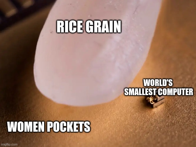 :( | RICE GRAIN; WORLD'S 
SMALLEST COMPUTER; WOMEN POCKETS | image tagged in worlds smallest computer | made w/ Imgflip meme maker