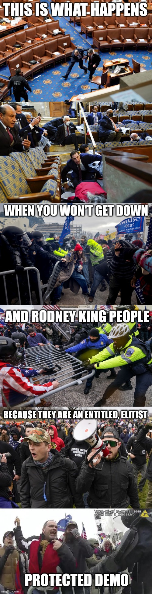 THIS IS WHAT HAPPENS; WHEN YOU WON'T GET DOWN; AND RODNEY KING PEOPLE; BECAUSE THEY ARE AN ENTITLED, ELITIST; PROTECTED DEMO | image tagged in facts,the truth | made w/ Imgflip meme maker