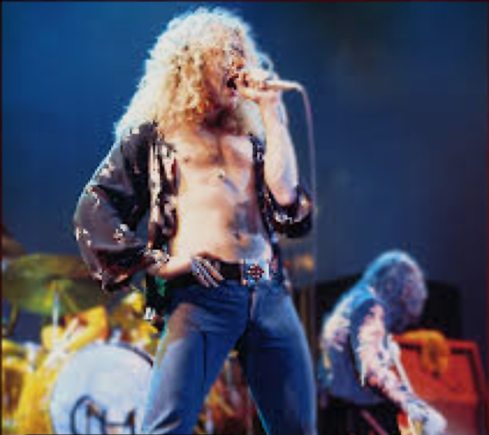 High Quality Robert Plant Blank Meme Template