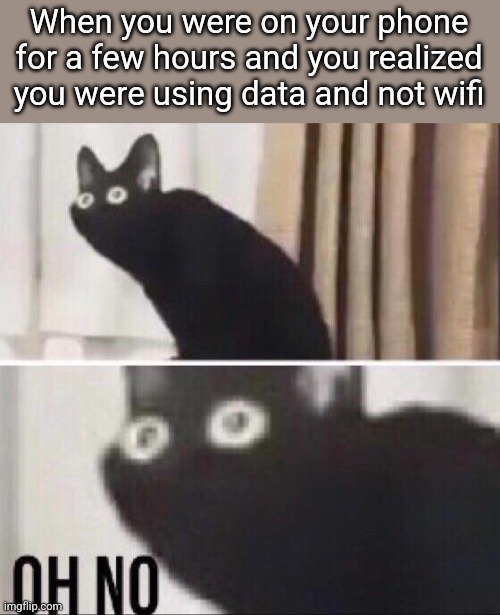 UH OH | When you were on your phone for a few hours and you realized you were using data and not wifi | image tagged in oh no cat,phone,cat,memes,funny | made w/ Imgflip meme maker
