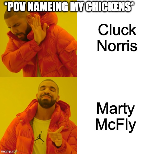 Drake Hotline Bling | Cluck Norris; *POV NAMEING MY CHICKENS*; Marty McFly | image tagged in memes,drake hotline bling | made w/ Imgflip meme maker