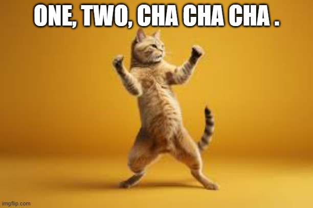 memes by Brad - funny cat dancing | ONE, TWO, CHA CHA CHA . | image tagged in funny,cats,cute kittens,funny cat memes,funny dancing,humor | made w/ Imgflip meme maker