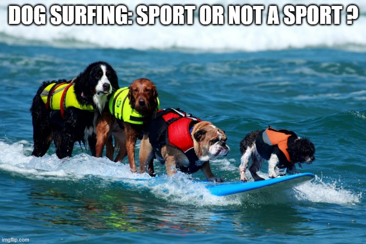 memes by Brad - dogs surfing | DOG SURFING: SPORT OR NOT A SPORT ? | image tagged in sports,funny,funny memes,funny dogs,surfing,humor | made w/ Imgflip meme maker