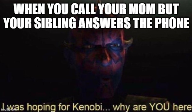 I was hoping for Kenobi | WHEN YOU CALL YOUR MOM BUT YOUR SIBLING ANSWERS THE PHONE | image tagged in i was hoping for kenobi,siblings | made w/ Imgflip meme maker