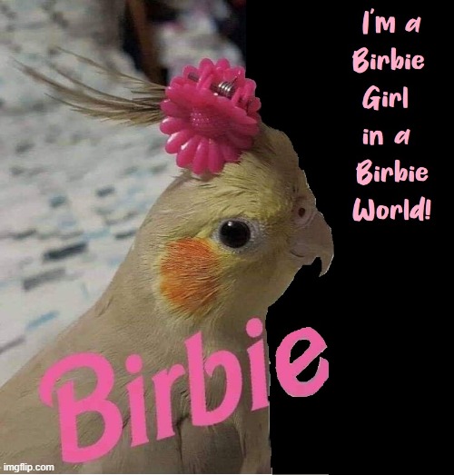 "You won't hear a peep out of me. Peep!" —Birbie Birb | image tagged in vince vance,birds,parrot,birb,barbie,memes | made w/ Imgflip meme maker