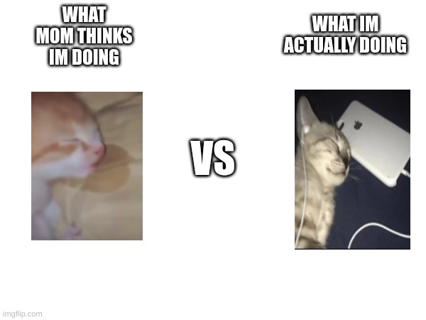 WHAT IM ACTUALLY DOING; WHAT MOM THINKS IM DOING; VS | made w/ Imgflip meme maker