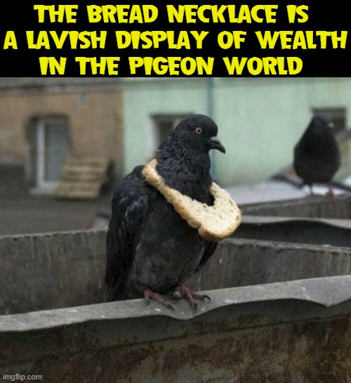 THE BREAD NECKLACE IS 
A LAVISH DISPLAY OF WEALTH
IN THE PIGEON WORLD | image tagged in vince vance,pigeon,memes,sliced bread,wealth,status | made w/ Imgflip meme maker
