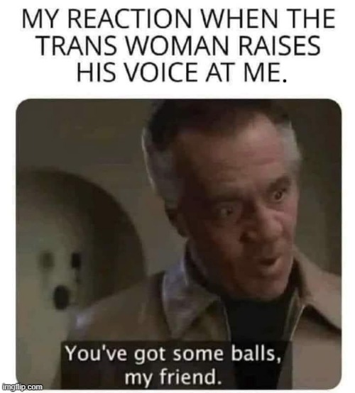 You`ve got balls ! | image tagged in sopranos | made w/ Imgflip meme maker