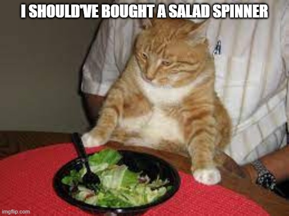 Posting Meme's chat GPT suggests to me | I SHOULD'VE BOUGHT A SALAD SPINNER | image tagged in salad cat | made w/ Imgflip meme maker