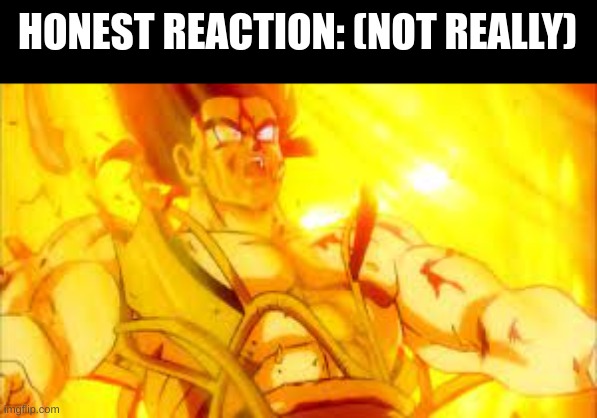 Bardock dying | HONEST REACTION: (NOT REALLY) | image tagged in bardock dying | made w/ Imgflip meme maker